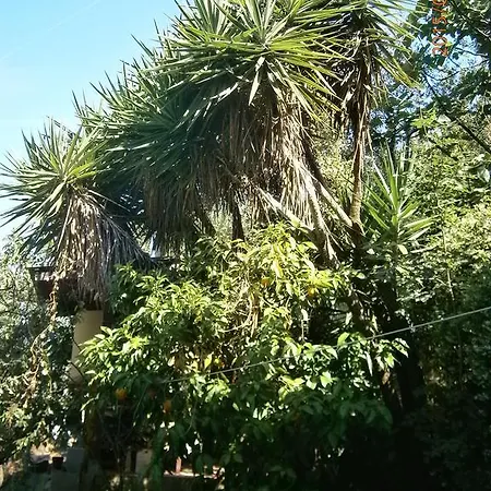 호텔 Il Cantuccio