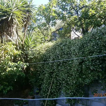 Il Cantuccio 2* 볼라노